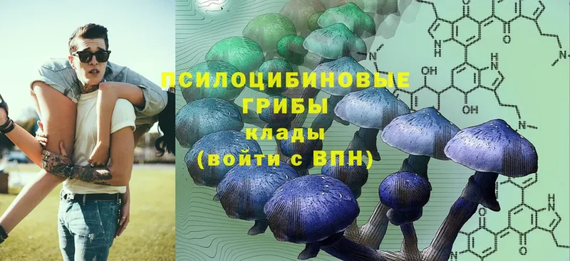 Псилоцибиновые грибы Magic Shrooms  Шарыпово 